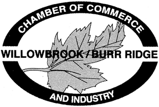 Member of the Willowbrook Burr Ridge Chamber of Commerce and Industry