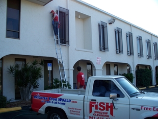 Exterior Window Cleaning & Fish Truck
