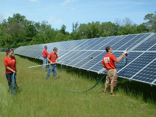 four window cleaners cleaning solar panels