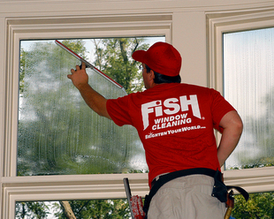 Residential Interior Window Cleaning