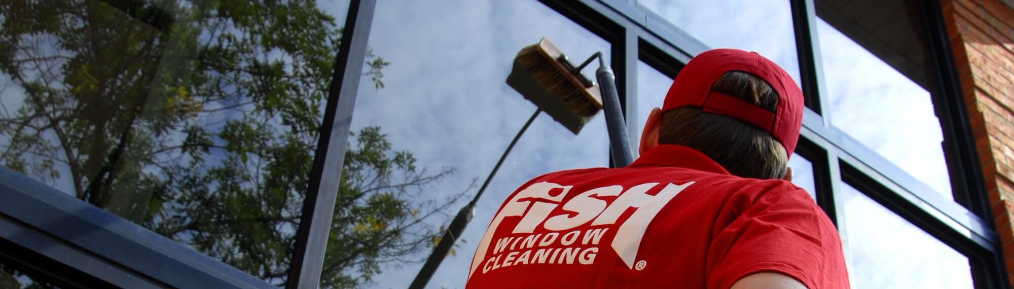 Fish Window Cleaning Houston, TX Metro Area Home