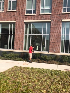 window cleaner cleaning windows of a building