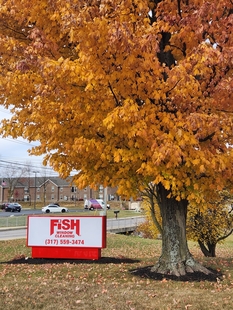 fish window cleaning sign next to a tree with orange leaves