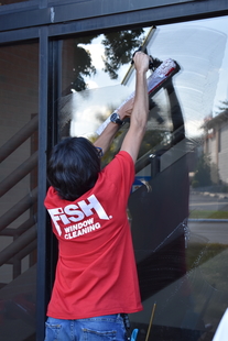 window cleaner cleaning window of building