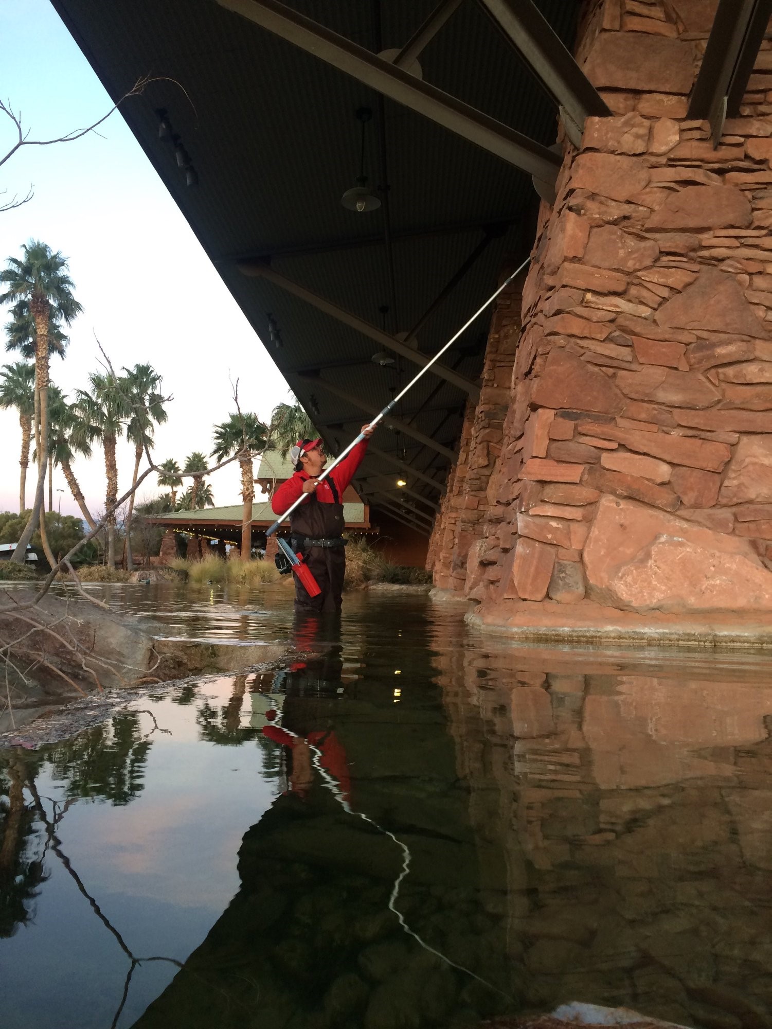 Commercial Window Cleaning Services Fish Window Cleaning Commercial