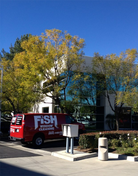 Fish Window Cleaning Southern Maine Portland Me Photo Fish Window Cleaning Southern Maine Portland Me Photo