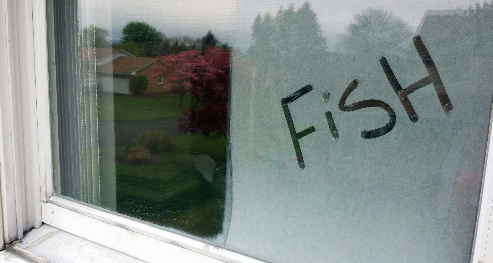 Image of Dirty Window with Clean Glass on One Side and FISH Written in Dirt on Other Side