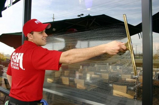 Fish Window Cleaning Cleaner with Squeegee