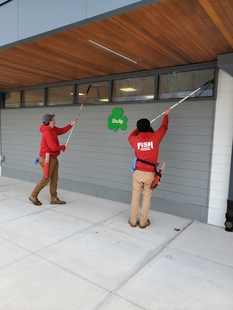 Two FISH Window Cleaners Using Poles to Clean Exterior Windows