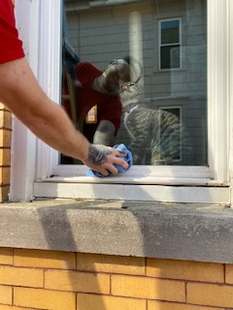 Cat Watching Window Cleaners