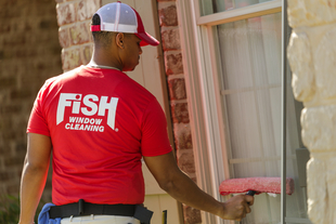 Image of Fish Window Cleaner Cleaning Exterior Window with a Mop