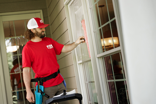 Image of Fish Window Cleaner Cleaning Home Window with a Mop