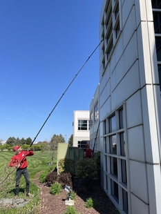 window cleaner cleaning windows of a building