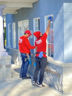 Two Fish Window Cleaners Cleaning spcaLA Windows