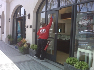 Fish Cleaner Cleaning a Glass Door