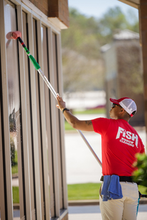 Window Cleaning Near Me