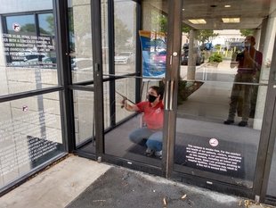 FISH Window Cleaner Cleaning Glass Doors