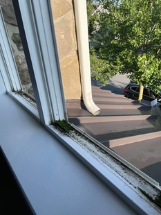 before cleaning sills