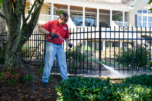 Image of Fish Window Cleaning Pressure Washing Patio
