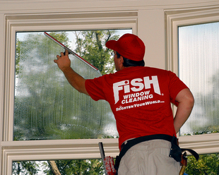 Interior Residential Window Cleaning