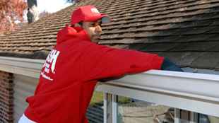 Gutter Cleaning