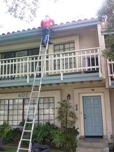 Gutter Cleaning on a Ladder