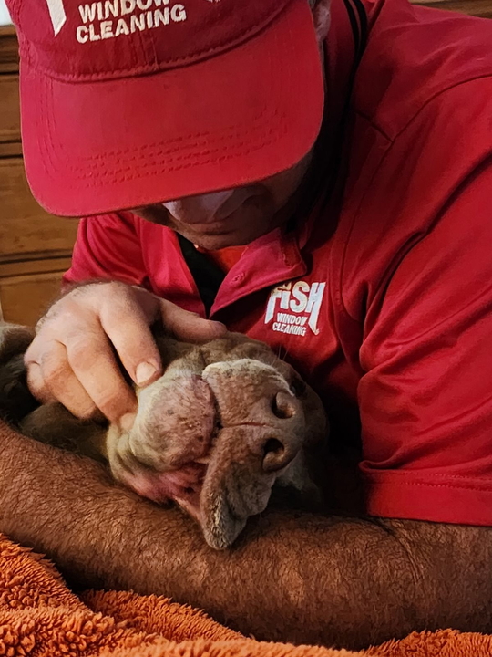 fish employee holding a dog