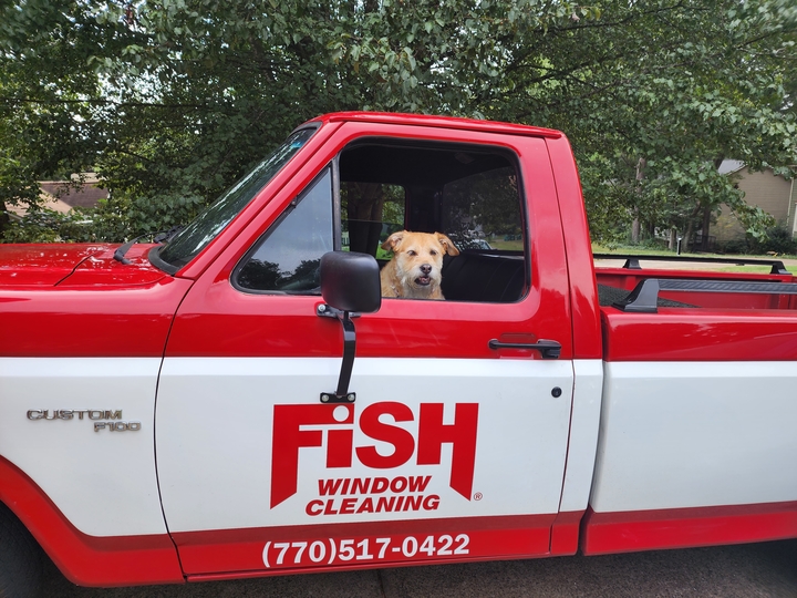 dog in a red and white fish window cleaning truck