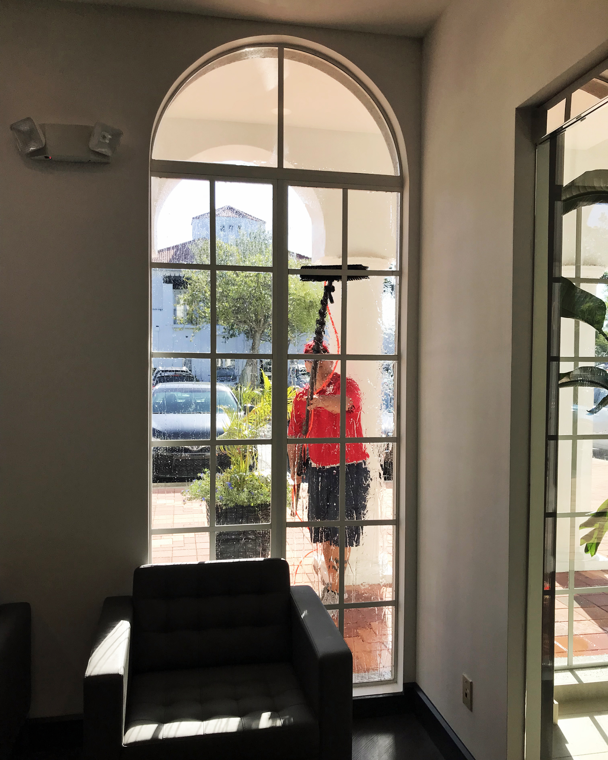 Fish Window Cleaning Naples Commercial Window Cleaning