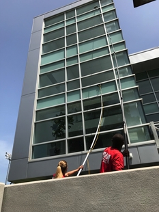 Two FISH Window Cleaners Cleaning Multi-Story Building Windows with a Pole