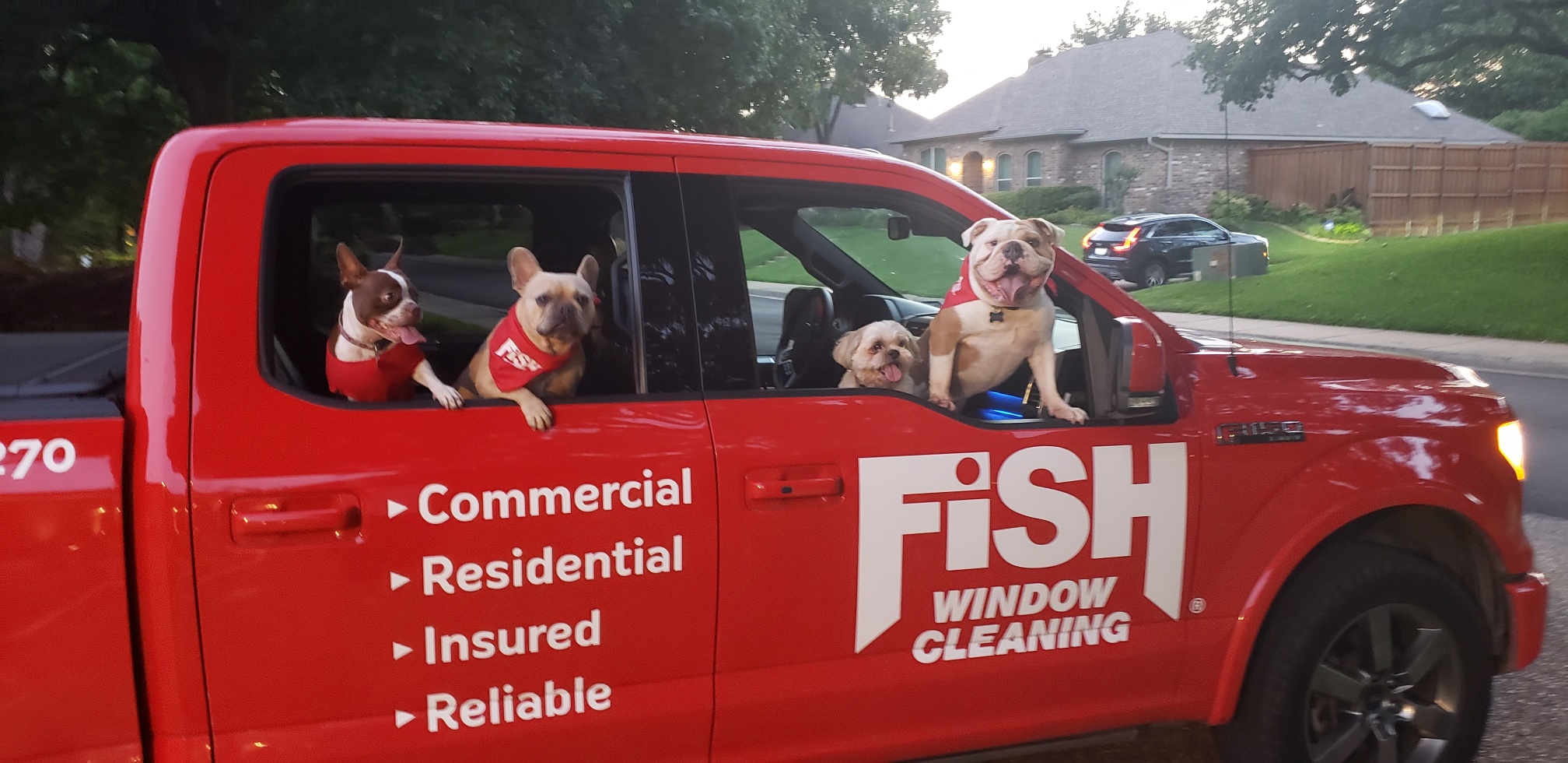 FISH Providing Commercial Window Cleaning Services