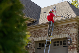 Image of Fish Window Cleaner Cleaning Gutters