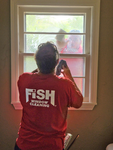 FISH Window Cleaner Cleaning Inside of Window and Window Cleaner Cleaning Outside of Window