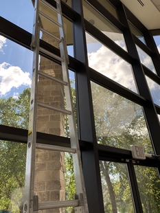 Ladder Propped Against Window with View of Tree and Skies