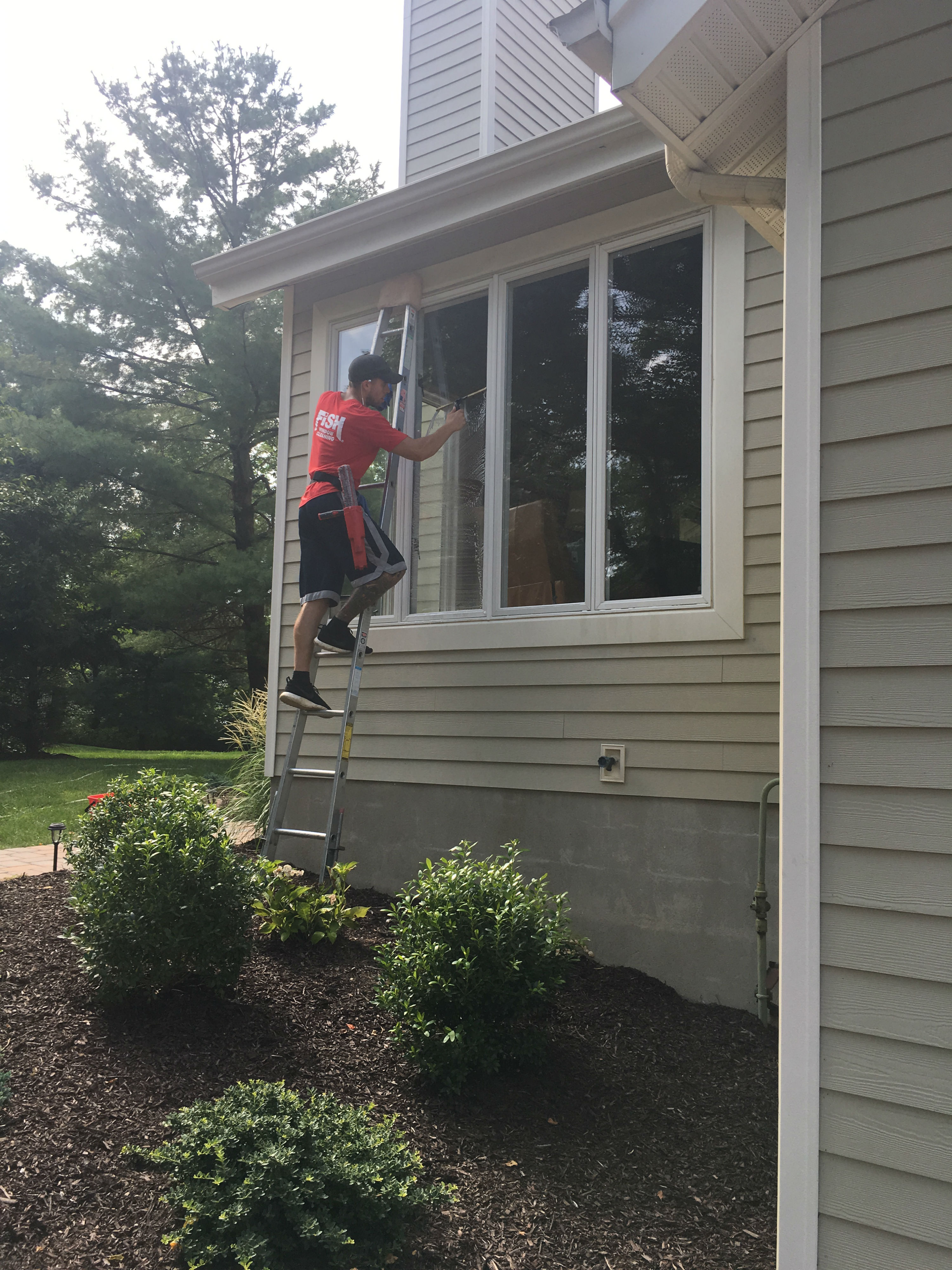 Window Cleaner on Ladder Cleaning Exterior Home Windows