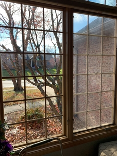 Image of Window Before and After Professional Cleaning
