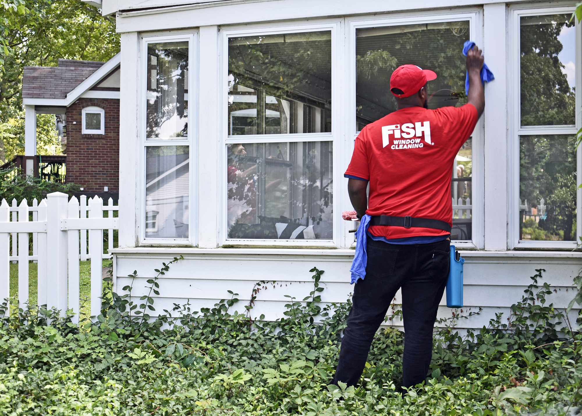 Fish Window Cleaner