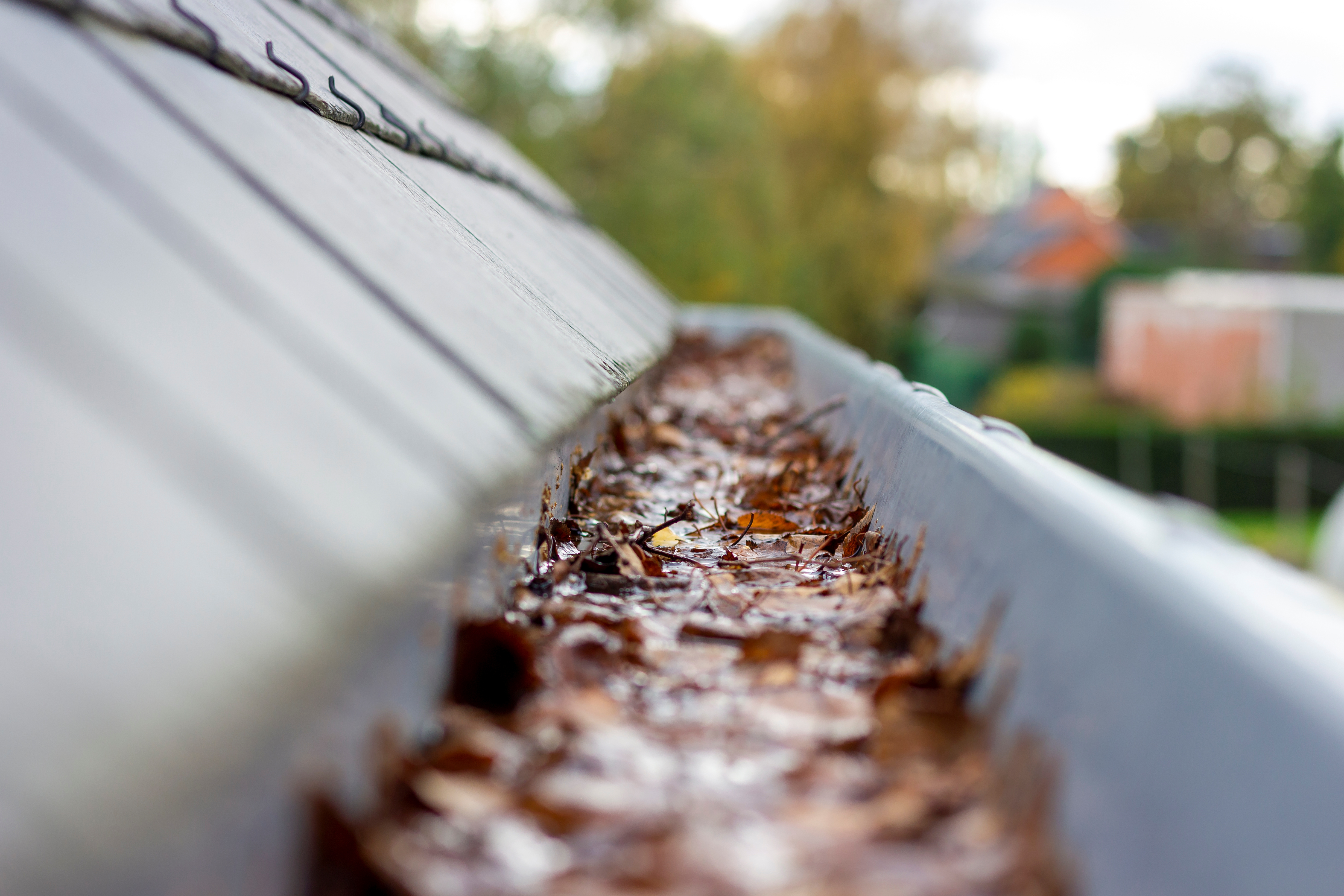 Close Up Image of Gutter Full of Leaves and Debris
