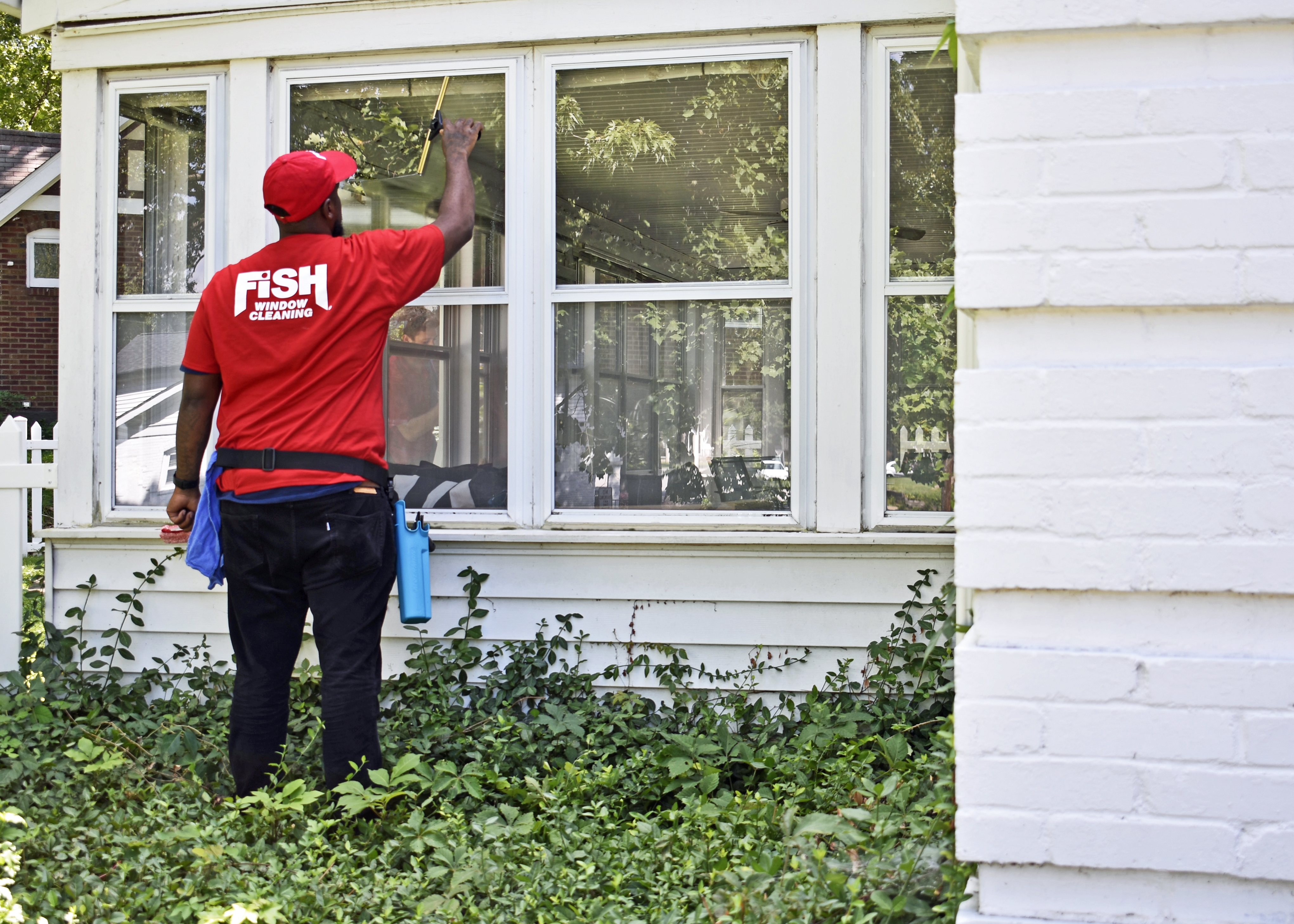 9 Window Cleaning Supplies Essential for Your Business - Fish 