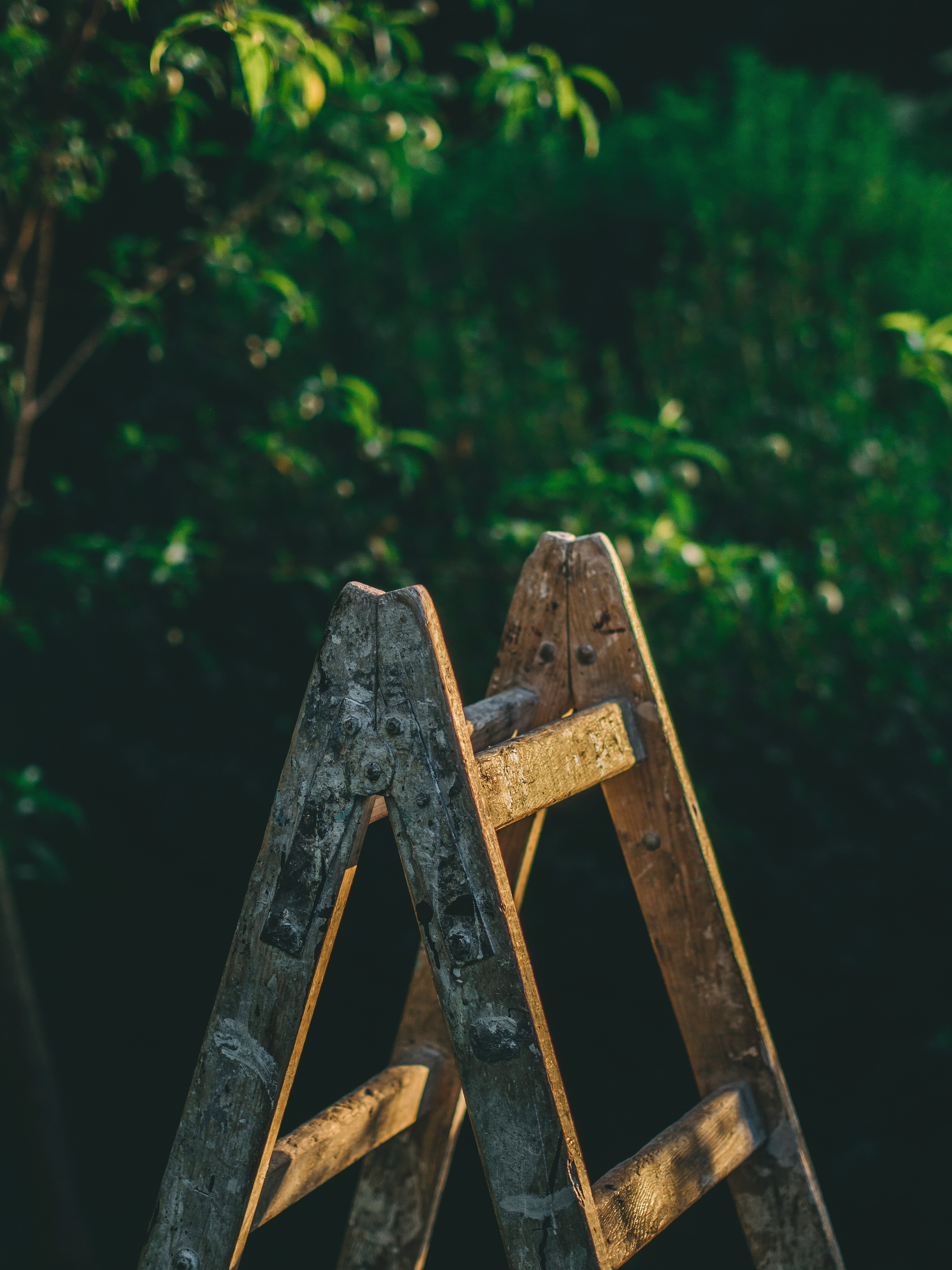 Antique Ladder