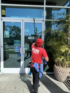 window cleaner cleaning windows of the society for the prevention of cruelty to animals los angeles (spcal a)